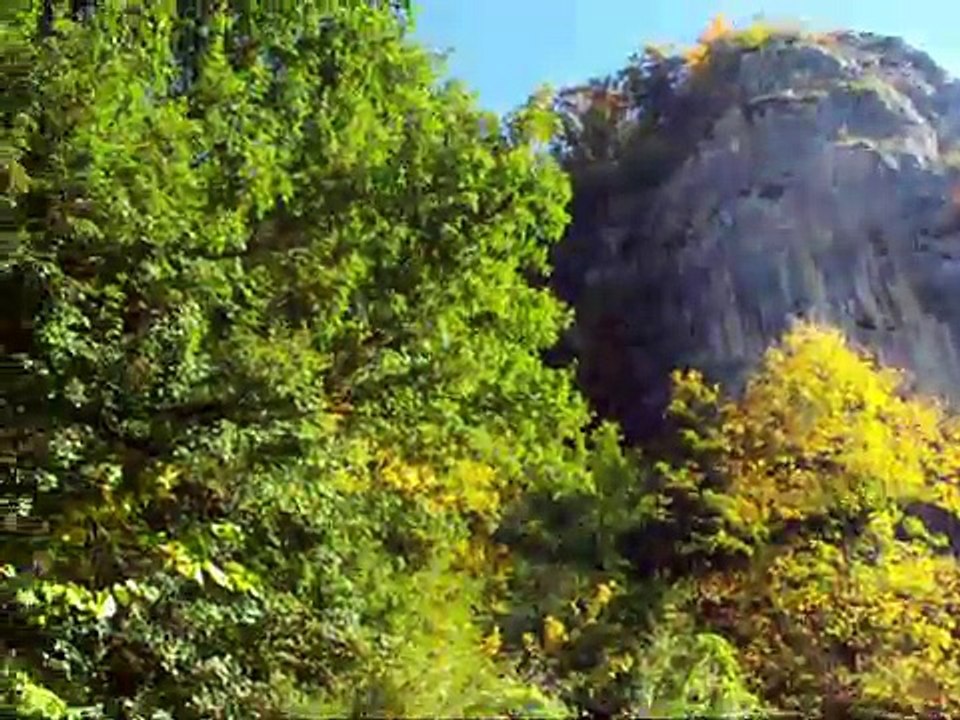 DSCF1004
