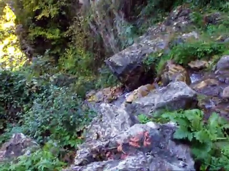 DSCF1006