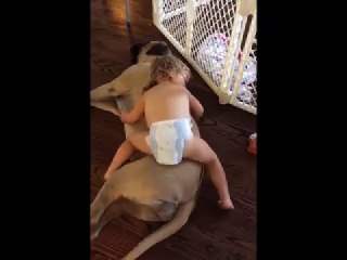 Baby and Dog Take An Adorable Nap