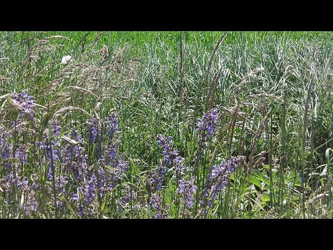 Languidic Istanbul à vélo