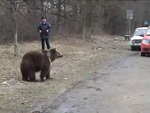 МИхалыч вышел на дорогу!!!