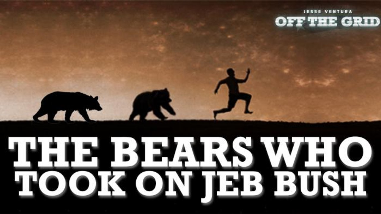 Off the Grid: The Bears Who Took on Jeb Bush