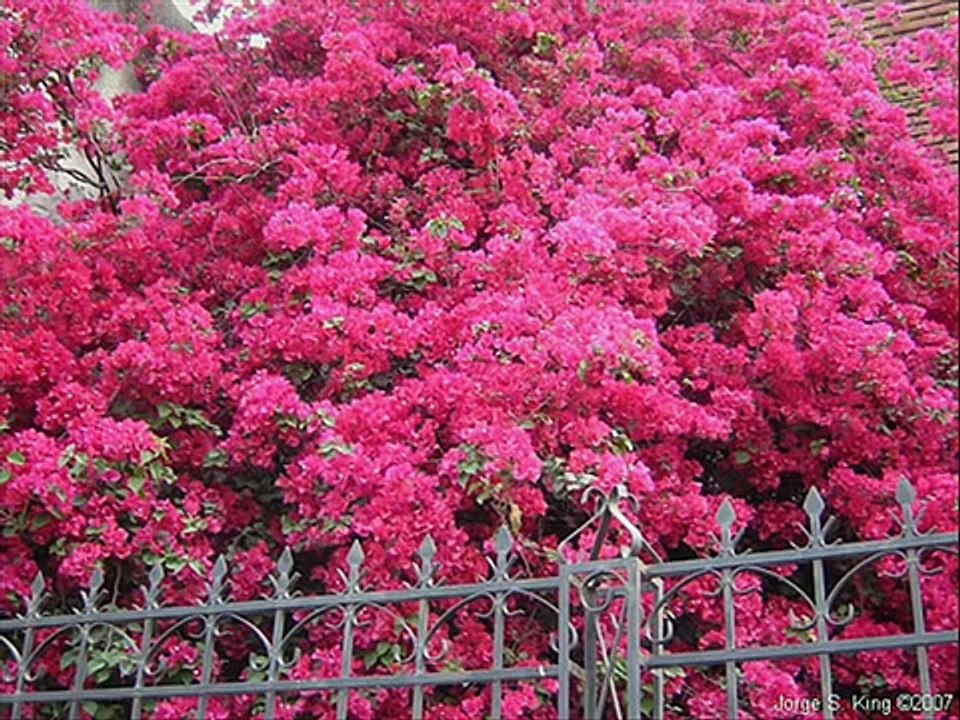 Santiago del Estero-Argentina