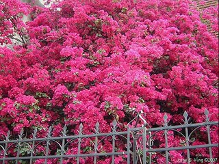Santiago del Estero-Argentina