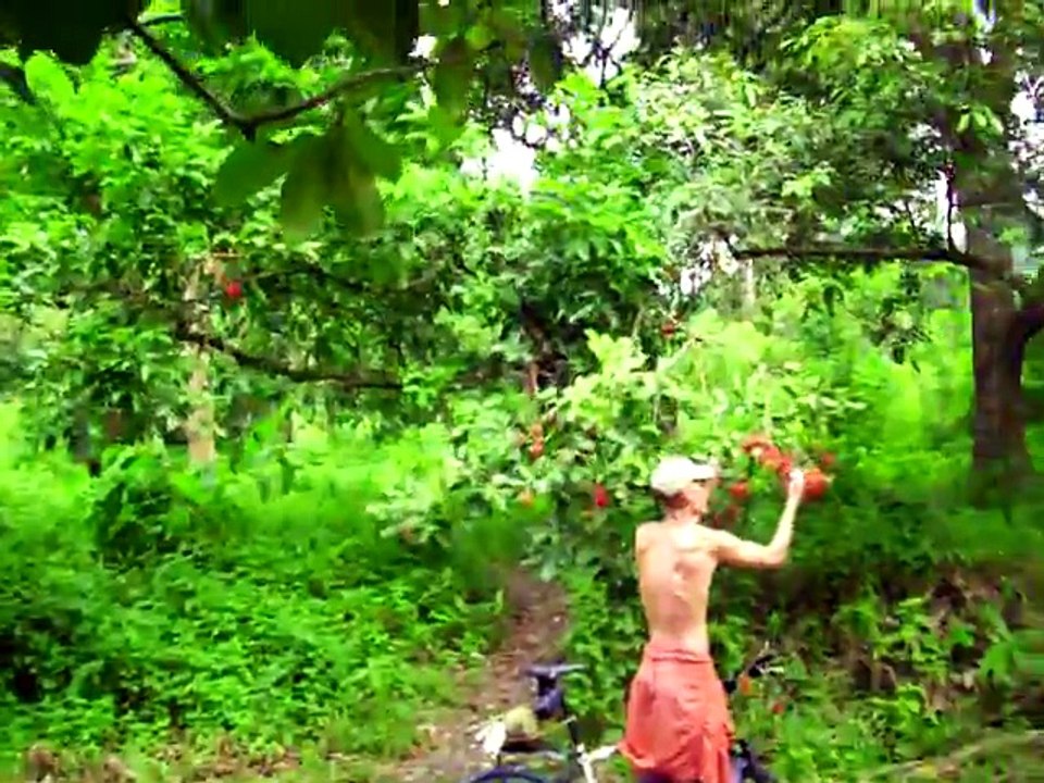 RAW FOOD FORAGING FREEGAN! #135