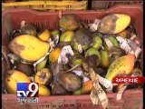 Mango Ripening 10kg carbide seized during raids at cold storage - Tv9 Gujarati