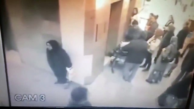 Hastanede Ayaküstü Sıçan Teyze | Aykut Elmas