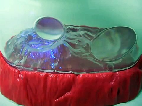 New Sea Monkeys Ocean Zoo !!