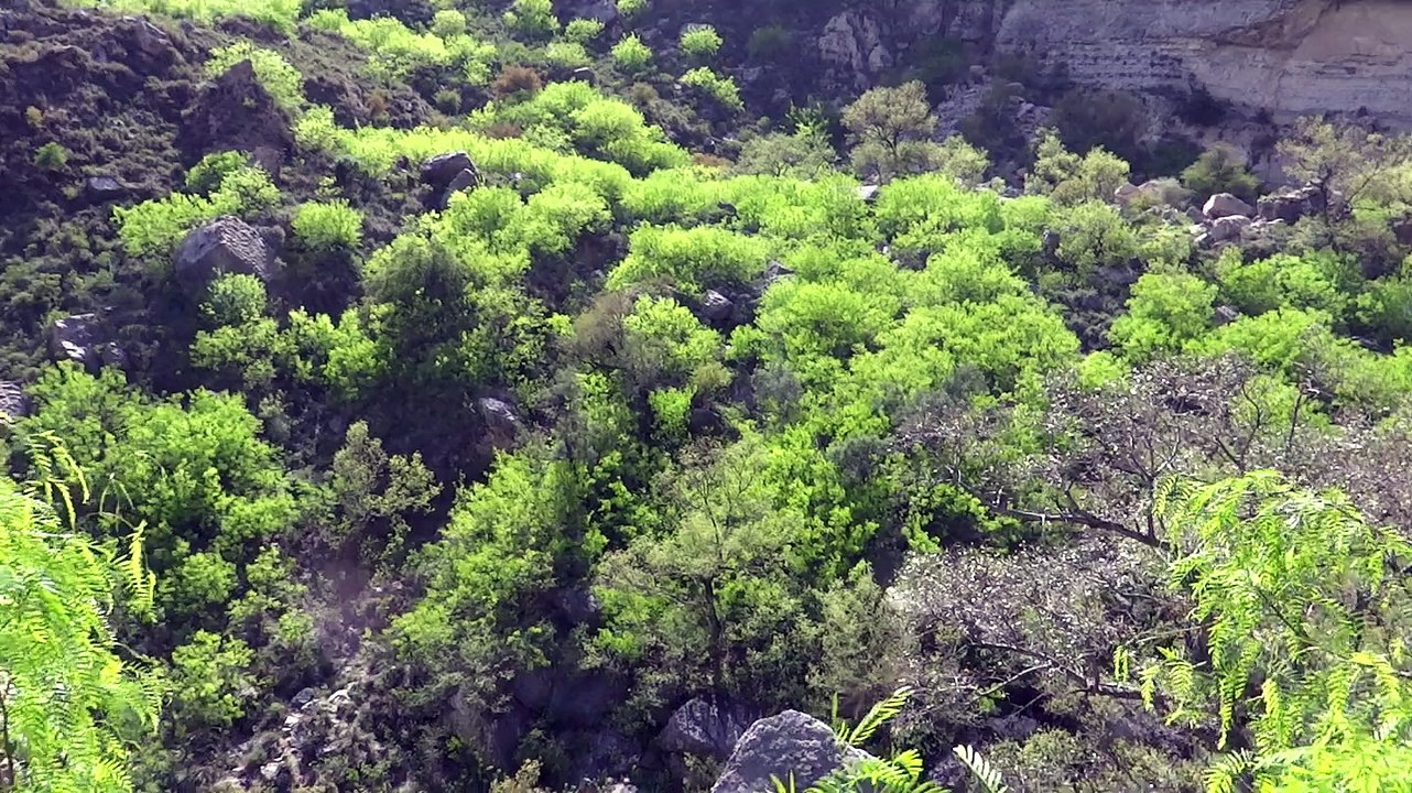 Neelawahn stream and pools 4 april 2015 in Soon Valley near Kallar Kahar Pakistan