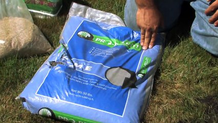 Lawn Care : How to Prepare a Lawn for Seed