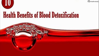 Why It Is Important to Purify Your Blood, 10 Health Benefits of Blood Detoxification