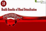 Why It Is Important to Purify Your Blood, 10 Health Benefits of Blood Detoxification