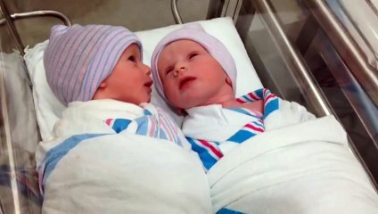 Newborn  twins have first _conversation_