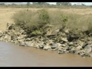 Wildebeest Migration Mara River Crossing