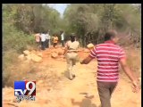 Andhra Pradesh Police guns down 20 red sandalwood smugglers in Chittoor - Tv9 Gujarati