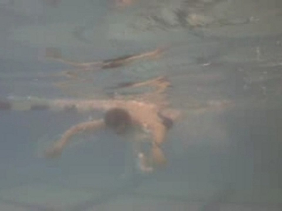 Butterfly Underwater