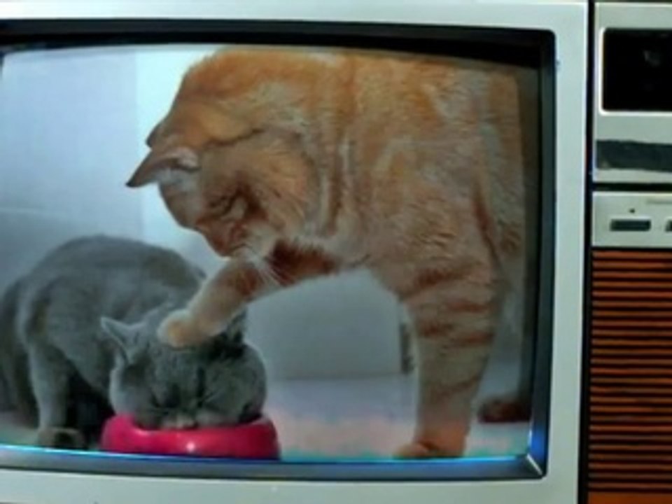 Les retrouvailles émouvantes entre Ban et Meliodas (Nanatsu no Taizai)