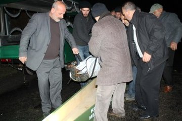 Katil Arılar, Emekli Kuyumcuyu Sokarak Öldürdü