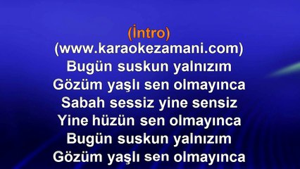 Barkın - Sen Olmayınca - 2012 TÜRKÇE KARAOKE