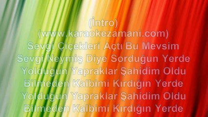 Belgin Gök - Sevgi Çiçekler Açtı Bu Mevsim - 2012 TÜRKÇE KARAOKE