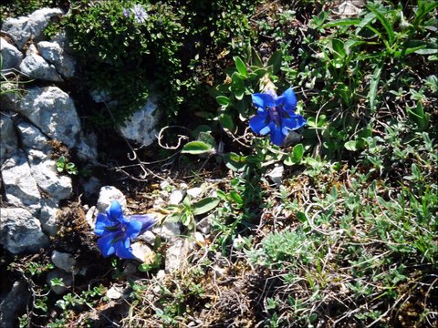 MEDITATION EVEIL KUNDALINI BUGARACH