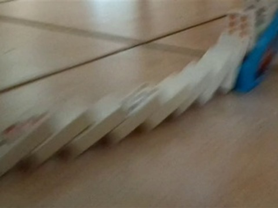 Domino Raceway