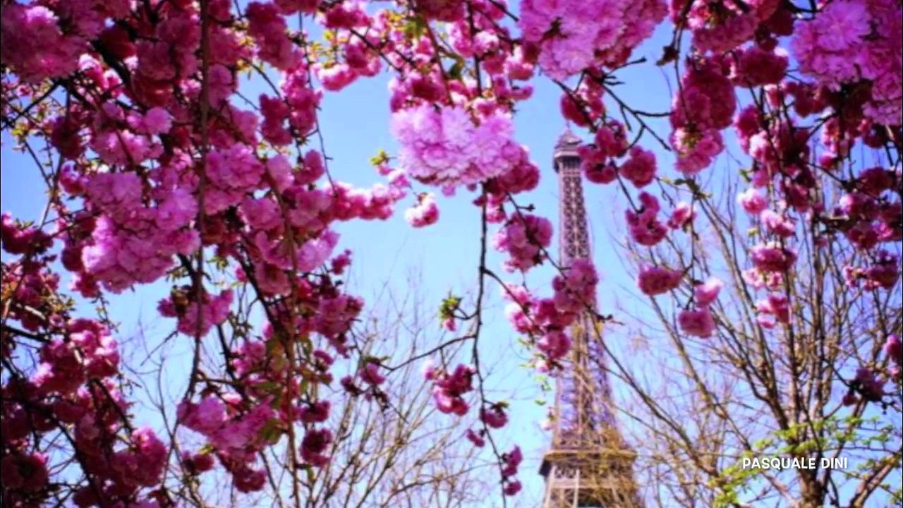 Dean Martin -La vie en rose -