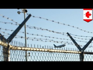 Жительница Канады пробралась через колючую проволоку, чтобы остановить самолёт