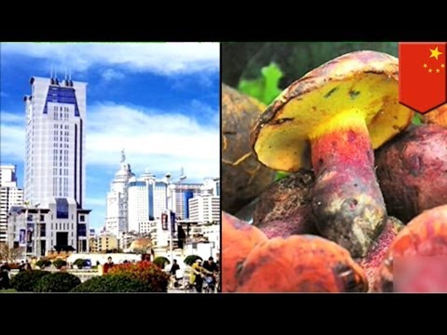 ⁣Пожилая женщина наелась ядовитых грибов, чтобы пообщаться с покойной дочерью