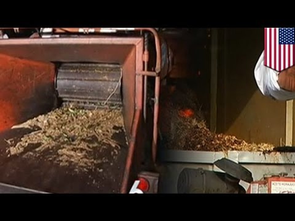 Ужасающий инцидент: мужчина погиб в измельчителе древесины во Флориде