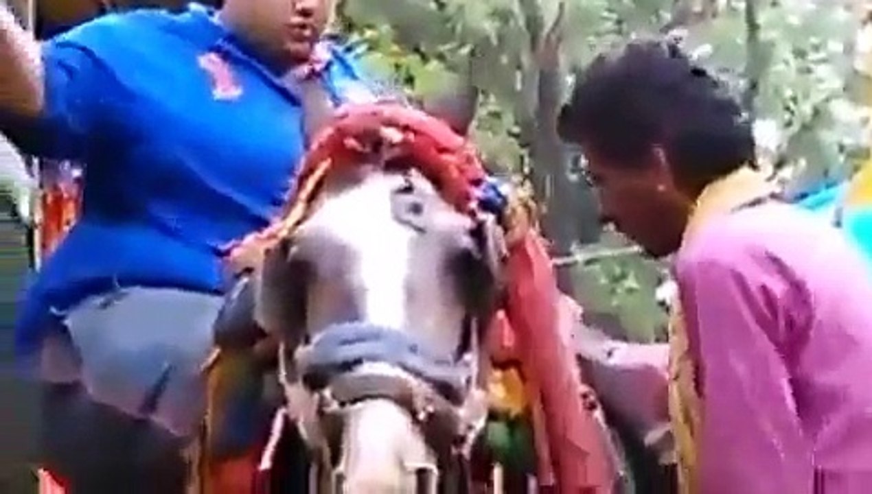 OMG!! Giant Man Wanna Ride on Horse - Lets Watch What Happened----?