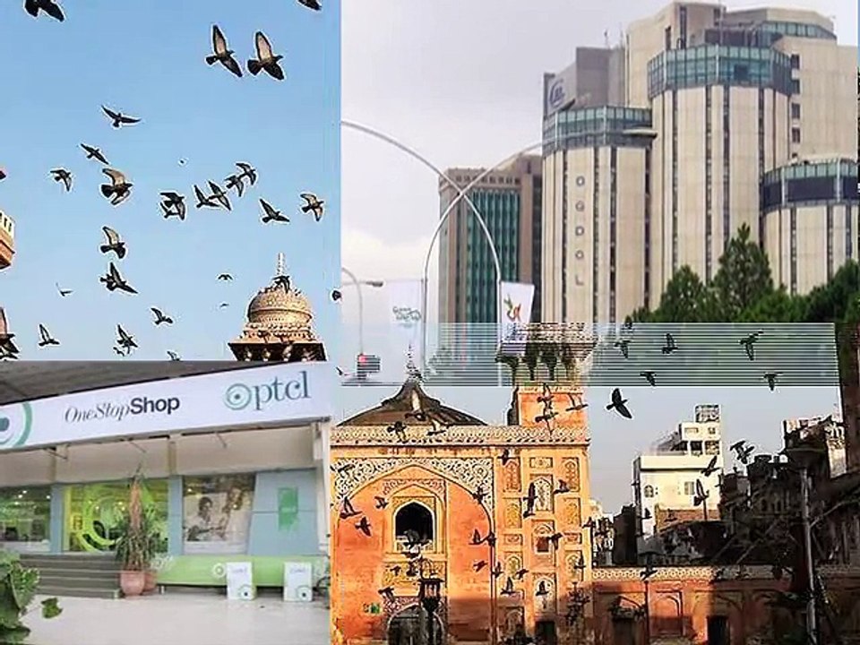 CA Pakistan  ICAP
