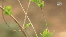 Le printemps va enfin pointer le bout de son nez