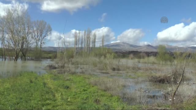 Büyük Menderes Taştı Tarlaları Su Bastı
