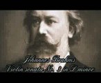 Brahms - Violin Sonata No. 3, first and second mov.