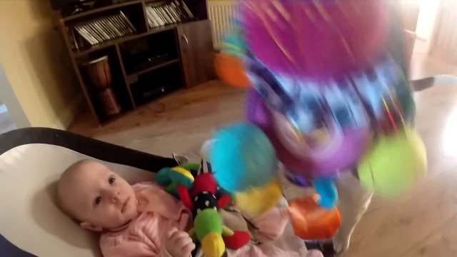 La réaction Incroyable d'un Chien après Avoir Volé le Jouet d'un Bébé