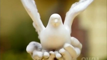 Dr. Maya Angelou - I Am Human