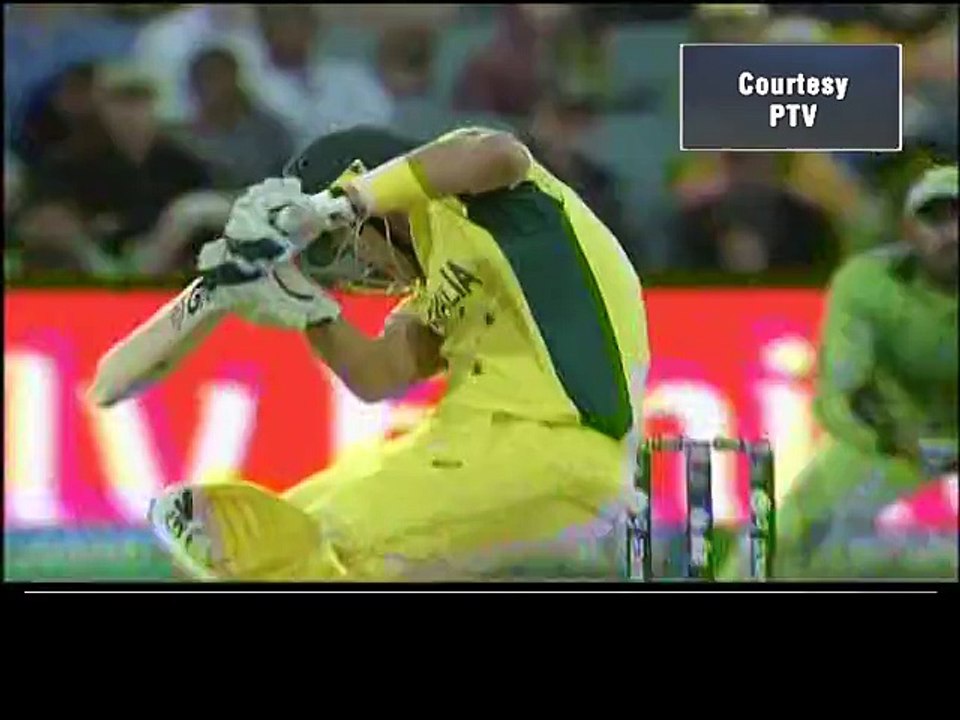 Wahab's Spell Against Australia