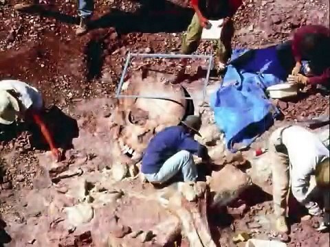 Des squelettes d'humains géants retrouvés par les archéologues