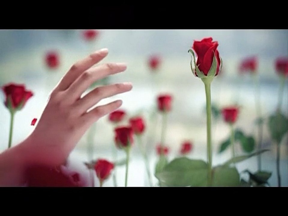 [MV] My Little Princess