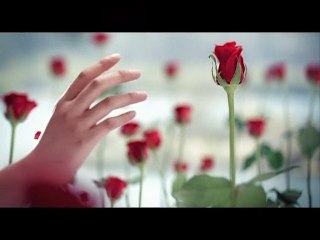 [MV] My Little Princess