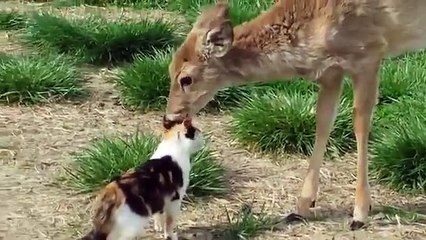 superbe moment de tendresse