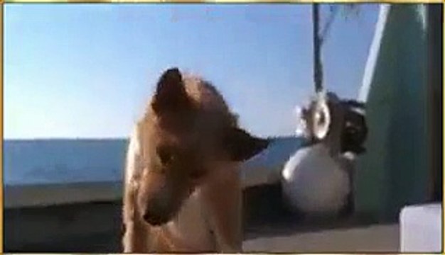 VID-20140913-WA0002.mp4