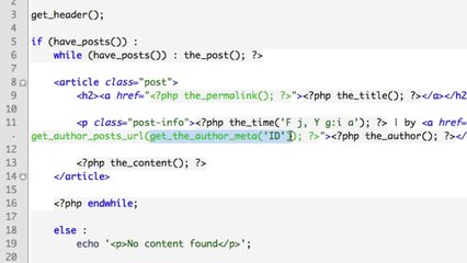 WordPress Post Meta Data Tutorial.mp4