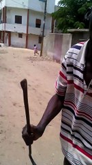 Il avait prédit la défaite de Balla Gaye 2