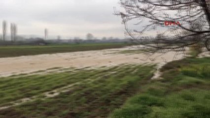 İnegöl?de Akçasu Deresi Taştı, Patates ve Ayçiçeği Ekili Alanlar Sular Altında Kaldı
