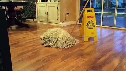 floor mop surprise