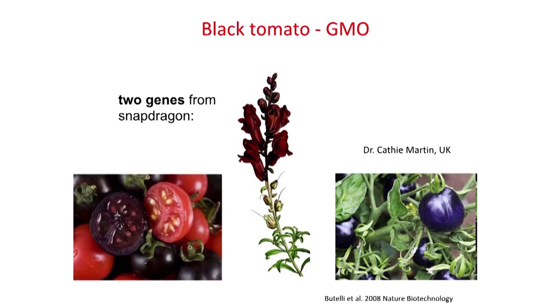 GMO controversies - science vs. public fear: Borut Bohanec at TEDxLjubljana  - video dailymotion
