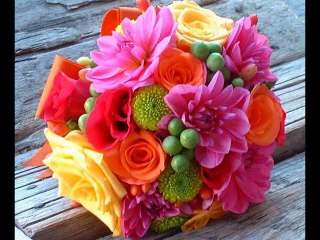 ÜÇ HÜREL-BİR SEVMEK BIN DEFA ÖLMEK DEMEK