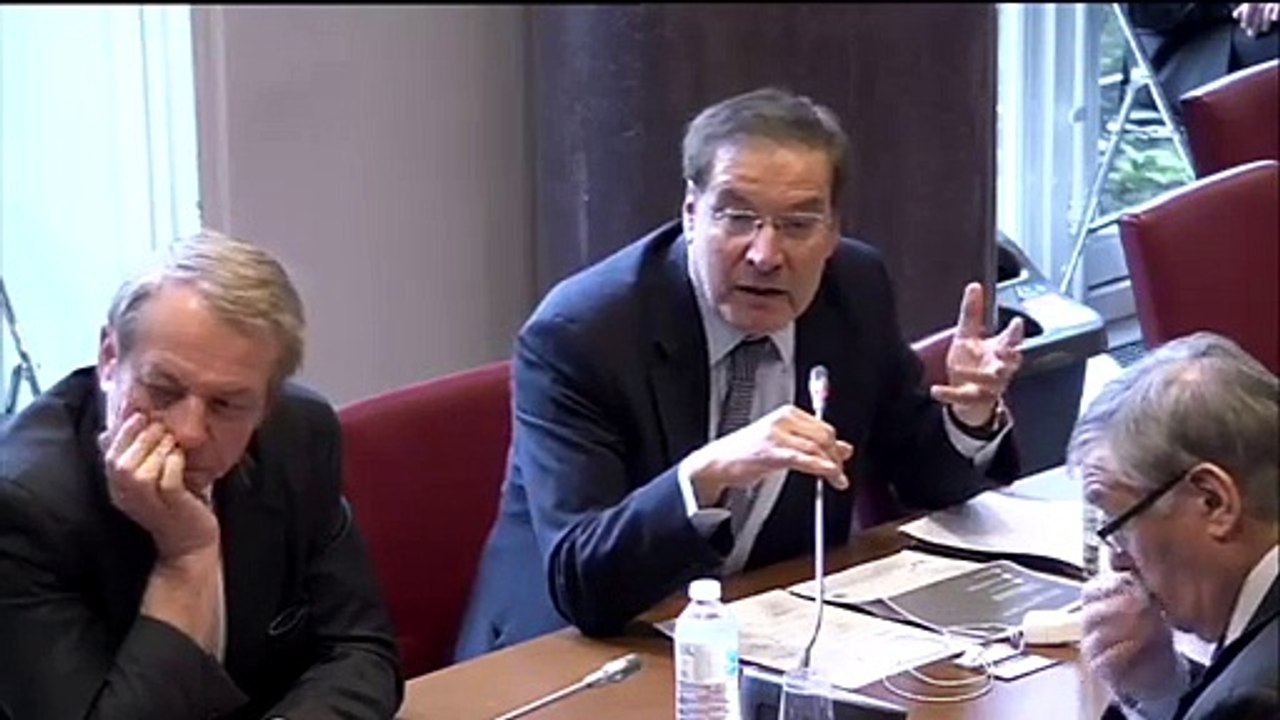 Pierre Alain Muet, les paradis fiscaux se trouvent au coeur de l'Europe, audition de l'OCDE,  mars 2015